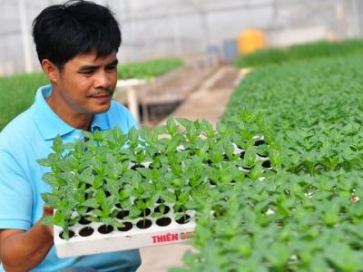 Lâm Đồng: Phấn đấu đứng đầu cả nước về nông nghiệp hữu cơ