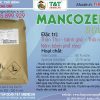 Thuốc trừ bệnh Mancozeb 80WP – xanh (Nguyên liệu 25kg)